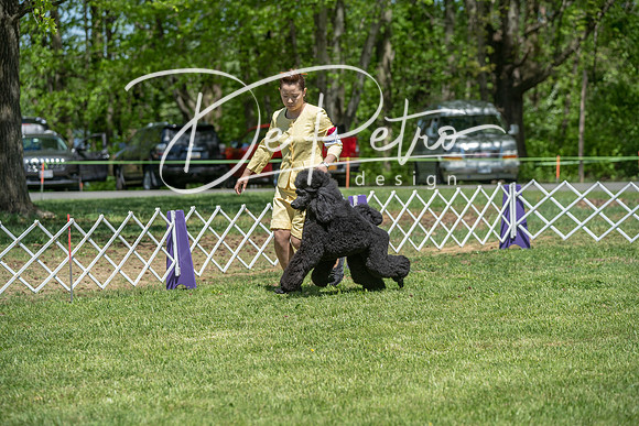 20190427-DSC09304