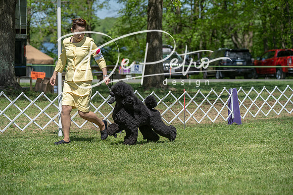 20190427-DSC09315