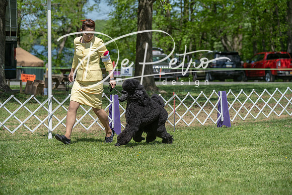 20190427-DSC09314