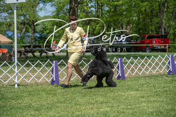 20190427-DSC09311