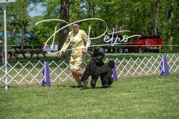 20190427-DSC09310
