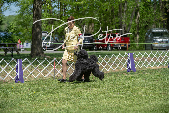 20190427-DSC09308