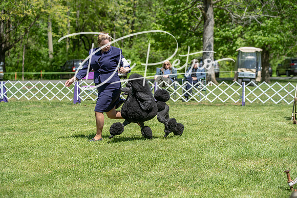 20190427-DSC09320