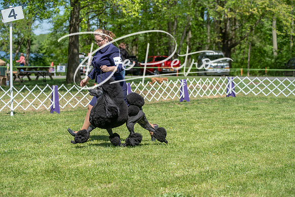 20190427-DSC09328