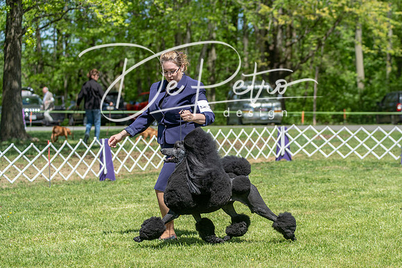 20190427-DSC09326