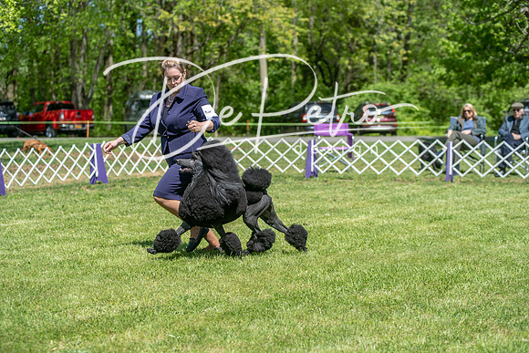 20190427-DSC09324
