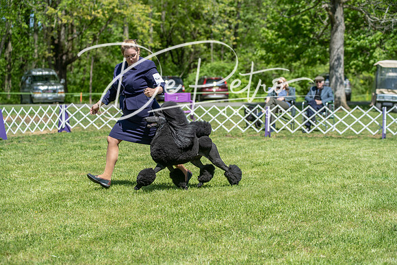 20190427-DSC09322