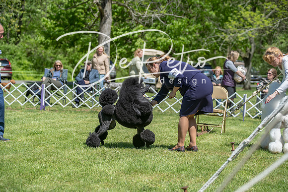 20190427-DSC09331