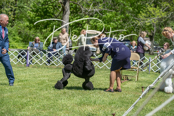 20190427-DSC09330