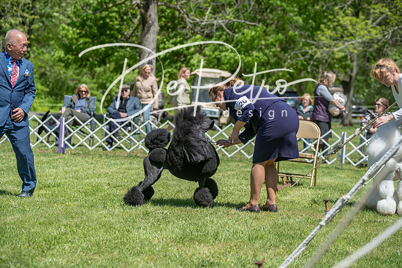 20190427-DSC09329
