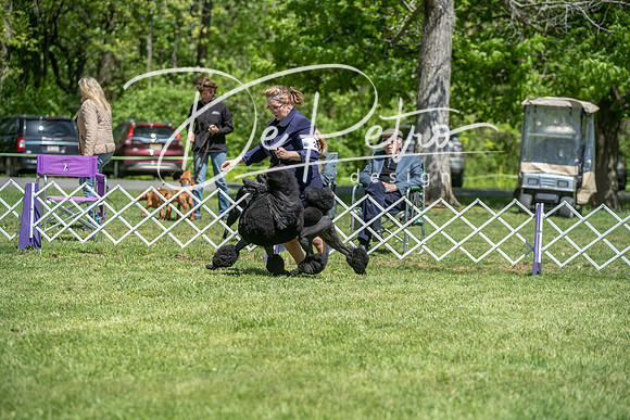 20190427-DSC09335