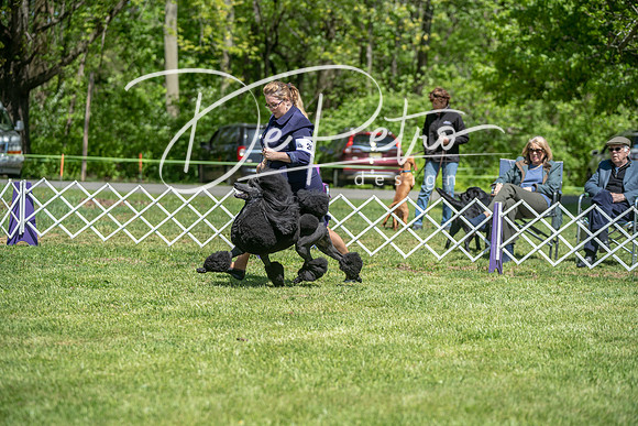 20190427-DSC09339