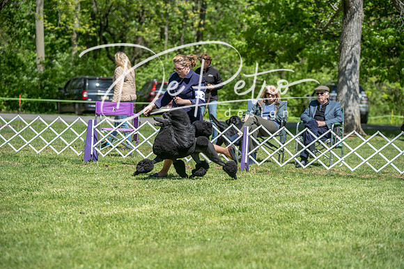 20190427-DSC09337