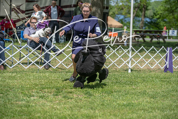 20190427-DSC09344
