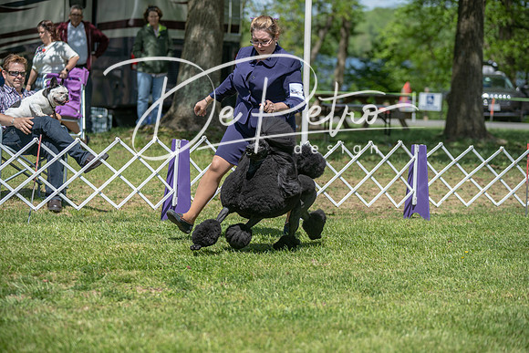 20190427-DSC09342