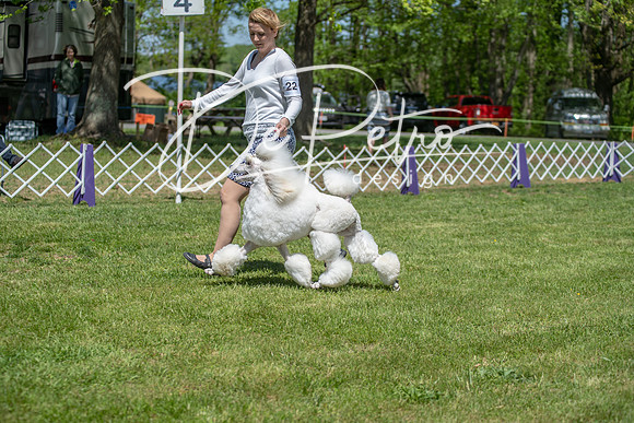 20190427-DSC09364