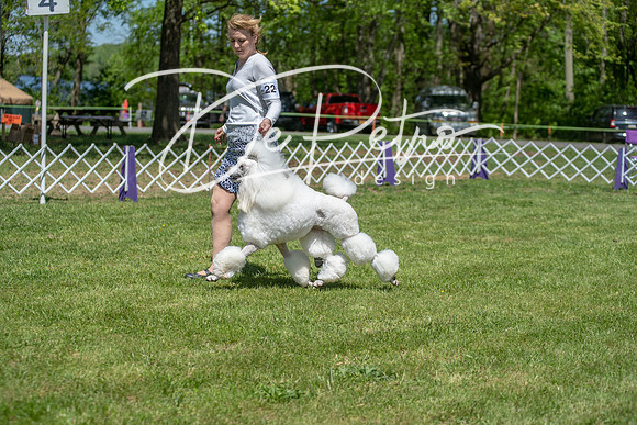 20190427-DSC09362