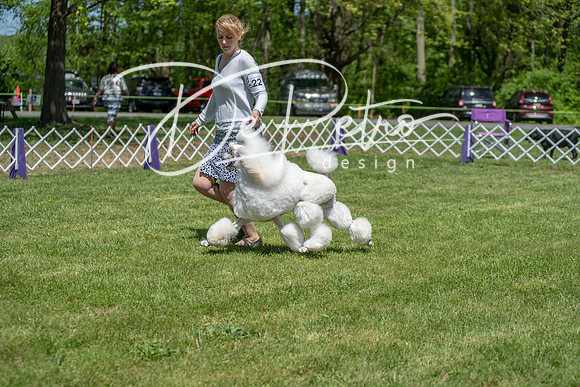 20190427-DSC09360