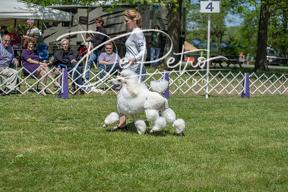 20190427-DSC09368