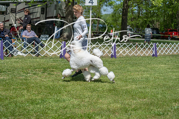 20190427-DSC09366