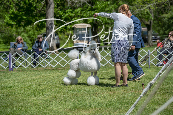20190427-DSC09380