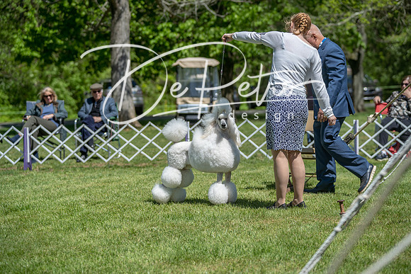 20190427-DSC09379