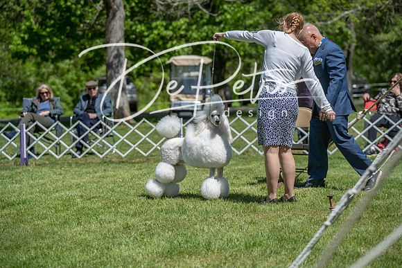 20190427-DSC09378