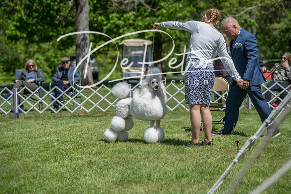 20190427-DSC09377