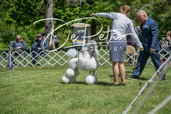 20190427-DSC09376