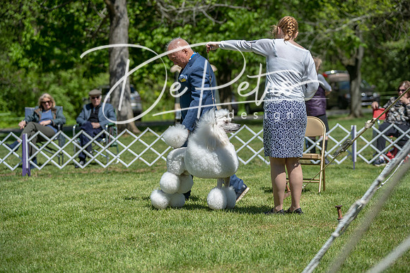 20190427-DSC09385