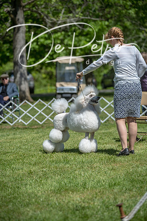 20190427-DSC09390