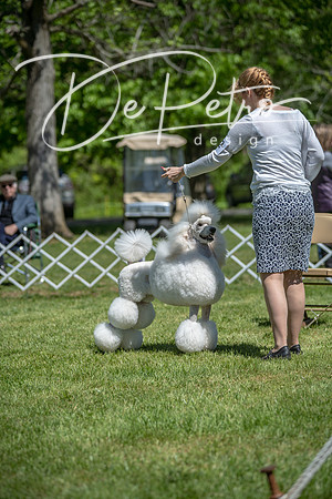 20190427-DSC09389