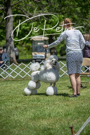 20190427-DSC09388