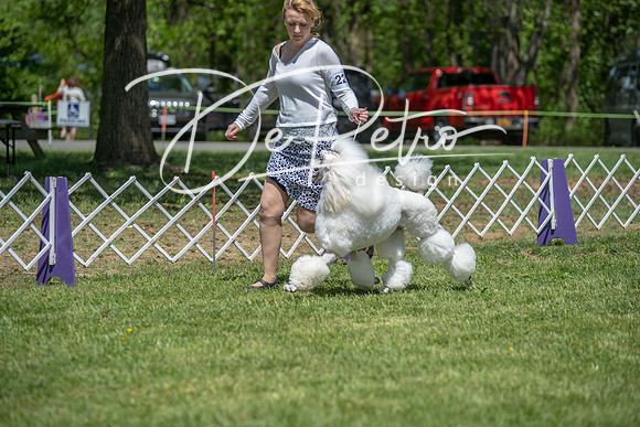 20190427-DSC09399