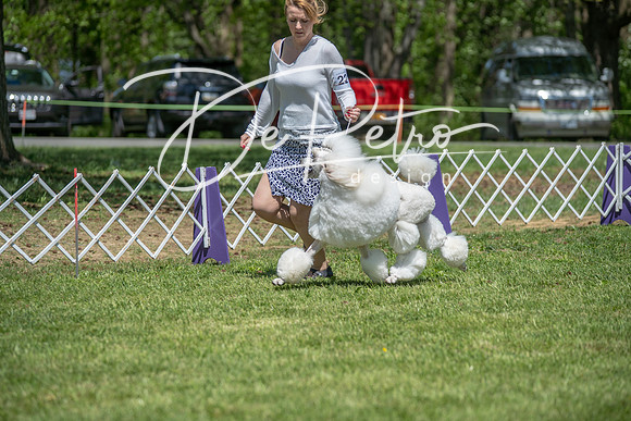 20190427-DSC09397