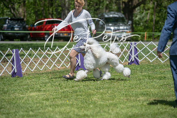 20190427-DSC09395