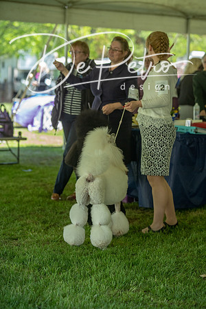 20190427-DSC09420