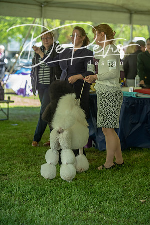 20190427-DSC09422