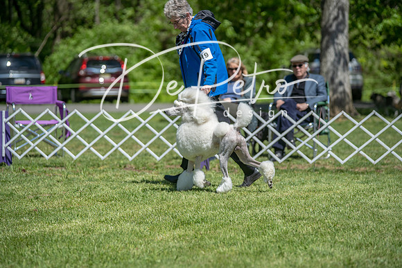 20190427-DSC09424