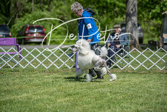 20190427-DSC09423