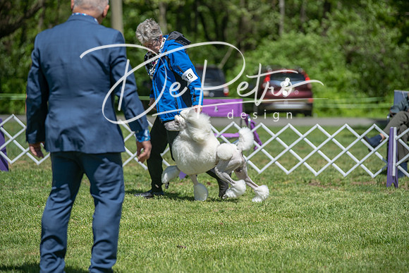 20190427-DSC09431