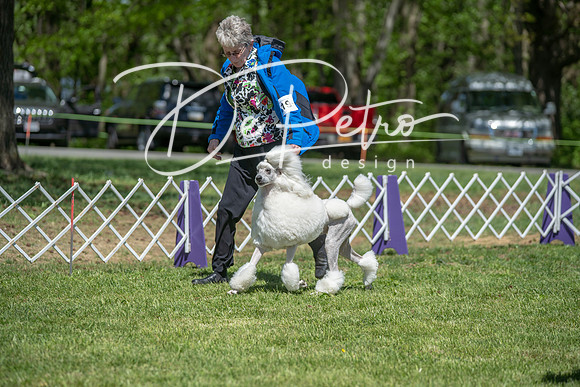 20190427-DSC09434