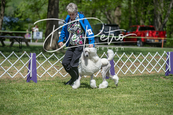 20190427-DSC09438