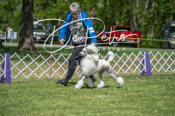 20190427-DSC09436