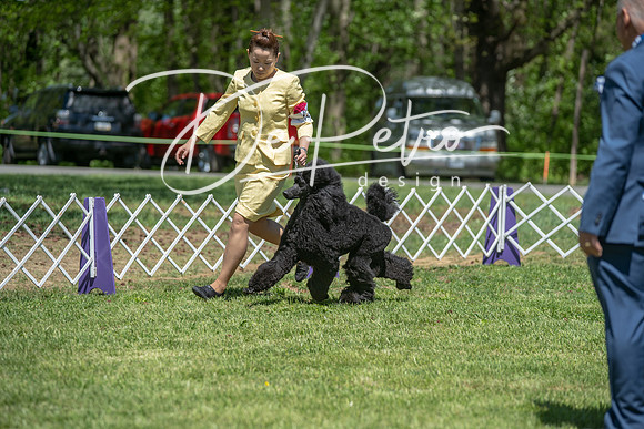 20190427-DSC09441