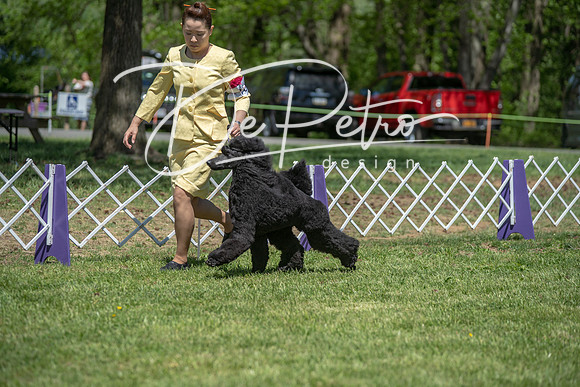 20190427-DSC09447
