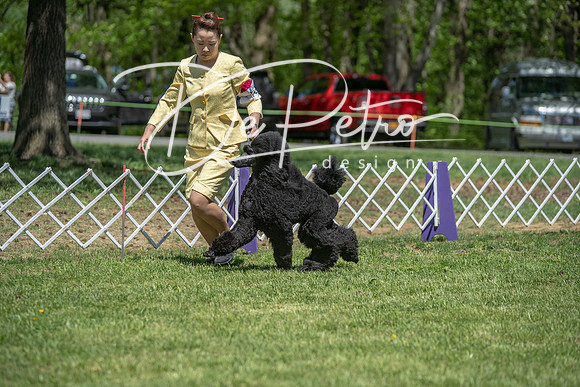 20190427-DSC09445