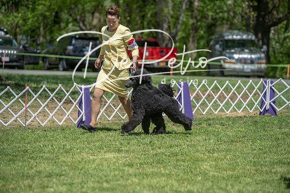 20190427-DSC09443