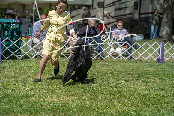 20190427-DSC09456