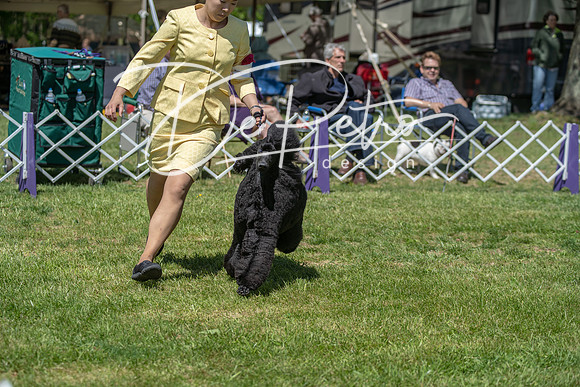 20190427-DSC09458